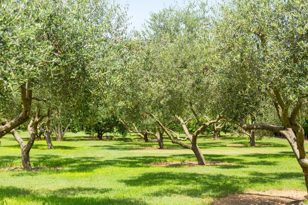 Villa Lagoon Sa Pobla Bagian luar foto